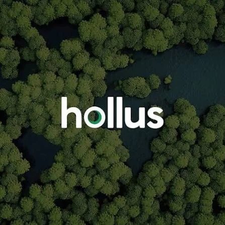 Hollus Engenharia & Meio Ambiente