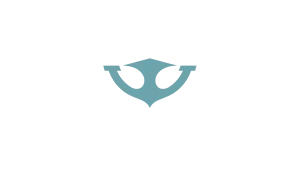 Superfície Engenharia